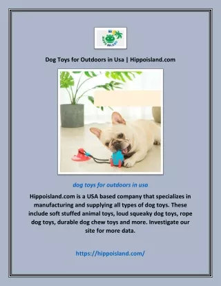 Dog Toys for Outdoors in Usa | Hippoisland.com