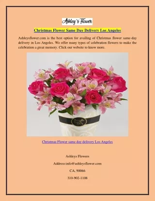 Christmas Flower Same Day Delivery Los Angeles  Ashleysflower