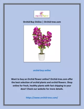 Orchid Buy Online | Orchid-tree.com