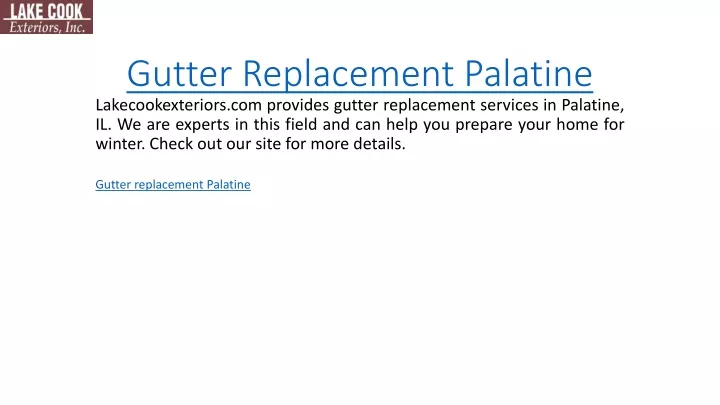 gutter replacement palatine
