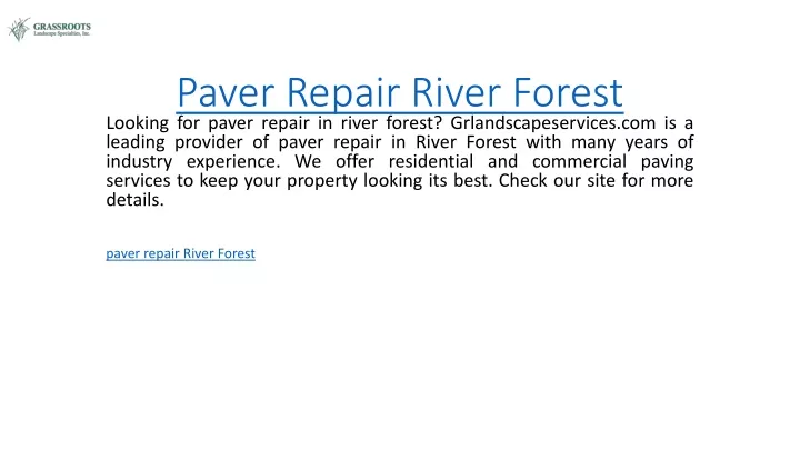 paver repair river forest