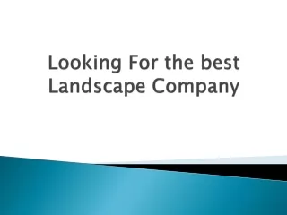 looking for the best landscape company