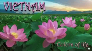 colors of life