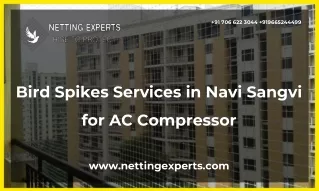 Bird Spikes Services in Navi Sangvi for AC Compressor
