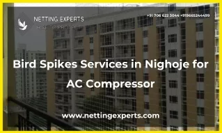 Bird Spikes Services in Nighoje for AC Compressor