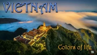 colors of life