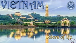 colors of life