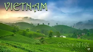 colors of life