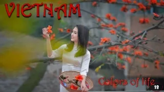 colors of life