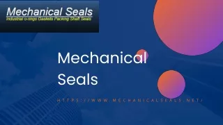 Buy Exclusive quality mixer seals in the USA