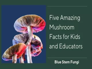 Five Amazing Mushroom Facts for Kids and Educators
