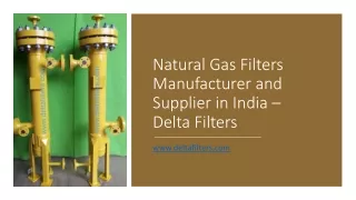 Natural Gas Filters Manufacturer and Supplier in India – Delta Filters