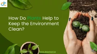 how do plants help to keep the environment clean