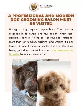 Get Affordable Dog Grooming Services In Brooklyn
