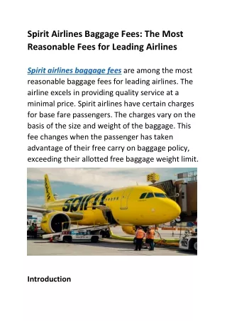 Spirit Airlines Baggage Fees