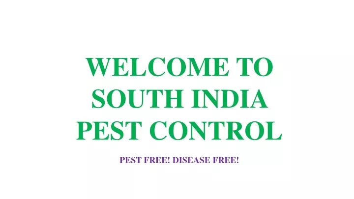 welcome to south india pest control pest free disease free