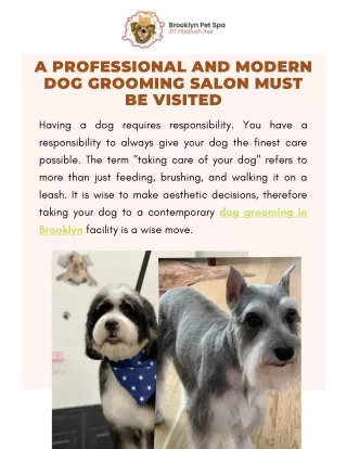 Get Affordable Dog Grooming Services In Brooklyn