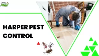 Get The Best Pest Control Foothill Ranch, CA
