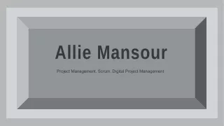 Allie Mansour - An Assertive and Competent Professional