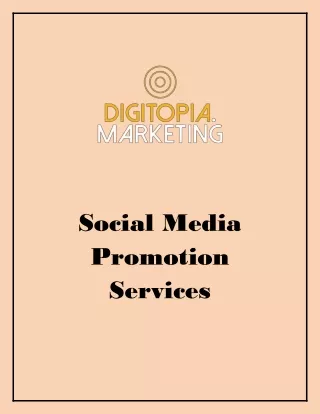 Social Media Promotion Services