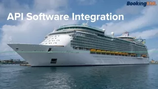 api software integration