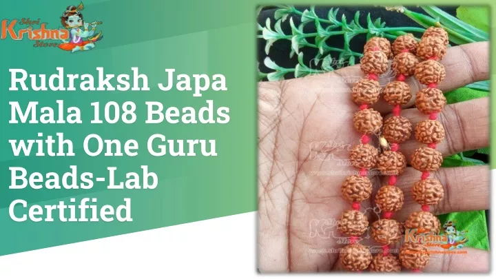 rudraksh japa mala 108 beads with one guru beads lab certified