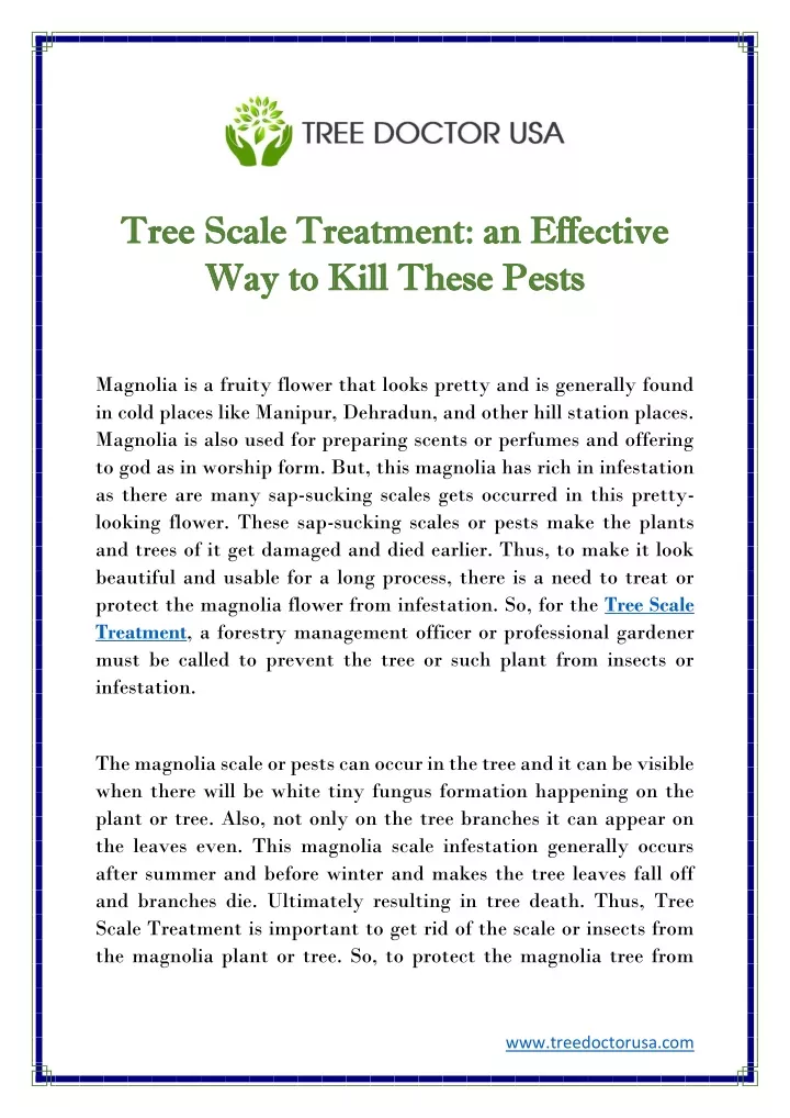 tree scale treatment an effective tree scale