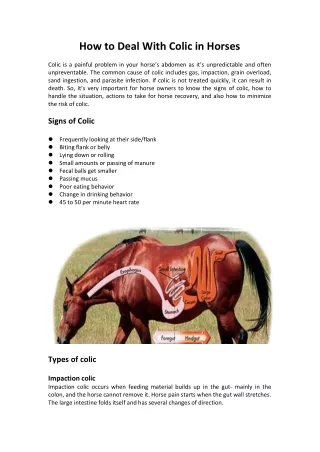 How to Deal With Colic in Horses