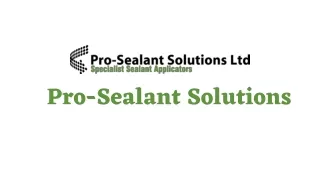 pro sealant solutions