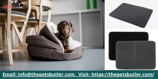 What Kind of Dog Beds Canada Does Your Dog Need