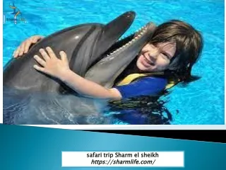 Safari Trip Sharm el Sheikh