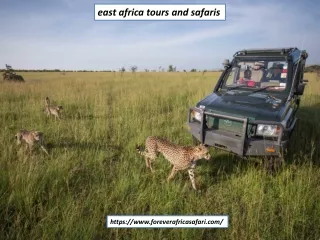 East Africa Tours and Safaris