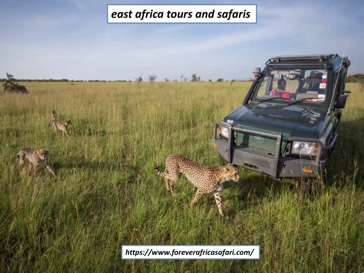 east africa tours and safaris
