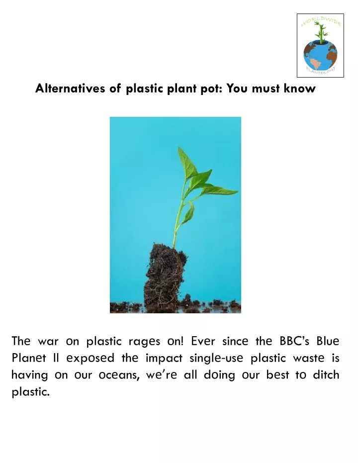 alternatives of plastic plant pot you must know