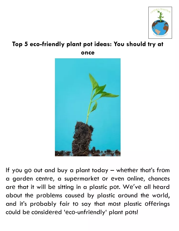 PPT - Top 5 Eco-friendly Plant Pot Ideas You Should Try At Once ...