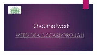Weed Deals Scarborough | Kushnetwork.online