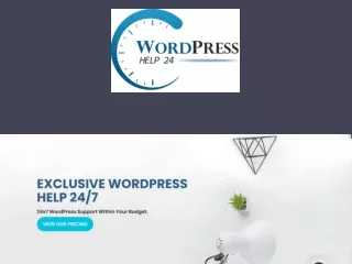 WordPress Customer Service & Development - Webhelp24