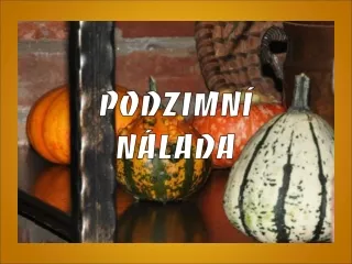 podzimn n lada