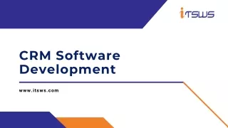 crm software development