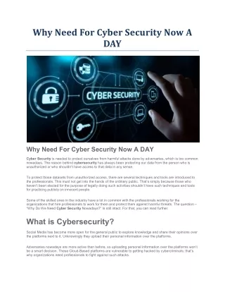 why need for cyber security now a day
