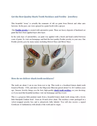 Get the Best Quality Shark Tooth Necklace and Fordite   Jewellery pdf