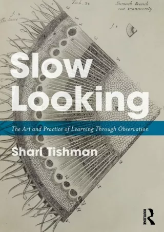 DOWNLOA T  Slow Looking The Art and Practice of Learning Through Observation