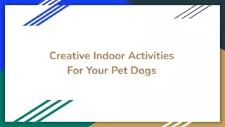 Creative Indoor Activities For Your Pet Dogs