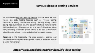 Famous Big Data Testing Services