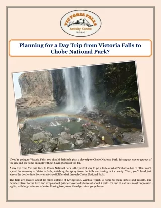 Planning for a Day Trip from Victoria Falls to Chobe National Park