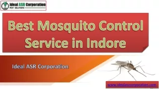 Best Mosquito Control Service in Indore