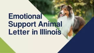 Emotional Support Animal Letter in Illinois (1)