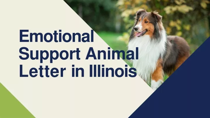 emotional support animal letter in illinois