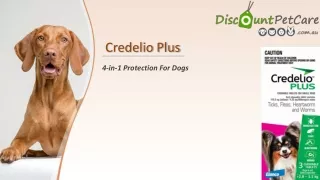 Buy Credelio Plus for Dogs | Flea & Tick Control | DiscountPetCare