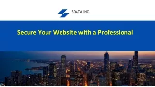 secure your website with a professional